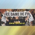 - - Notre Dame de Paris ("-  "),  2